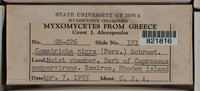Image Associated With the Occurence
